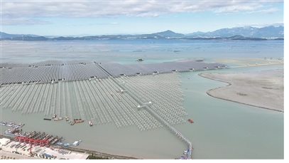 我国首个高风速海域海上光伏项目并网